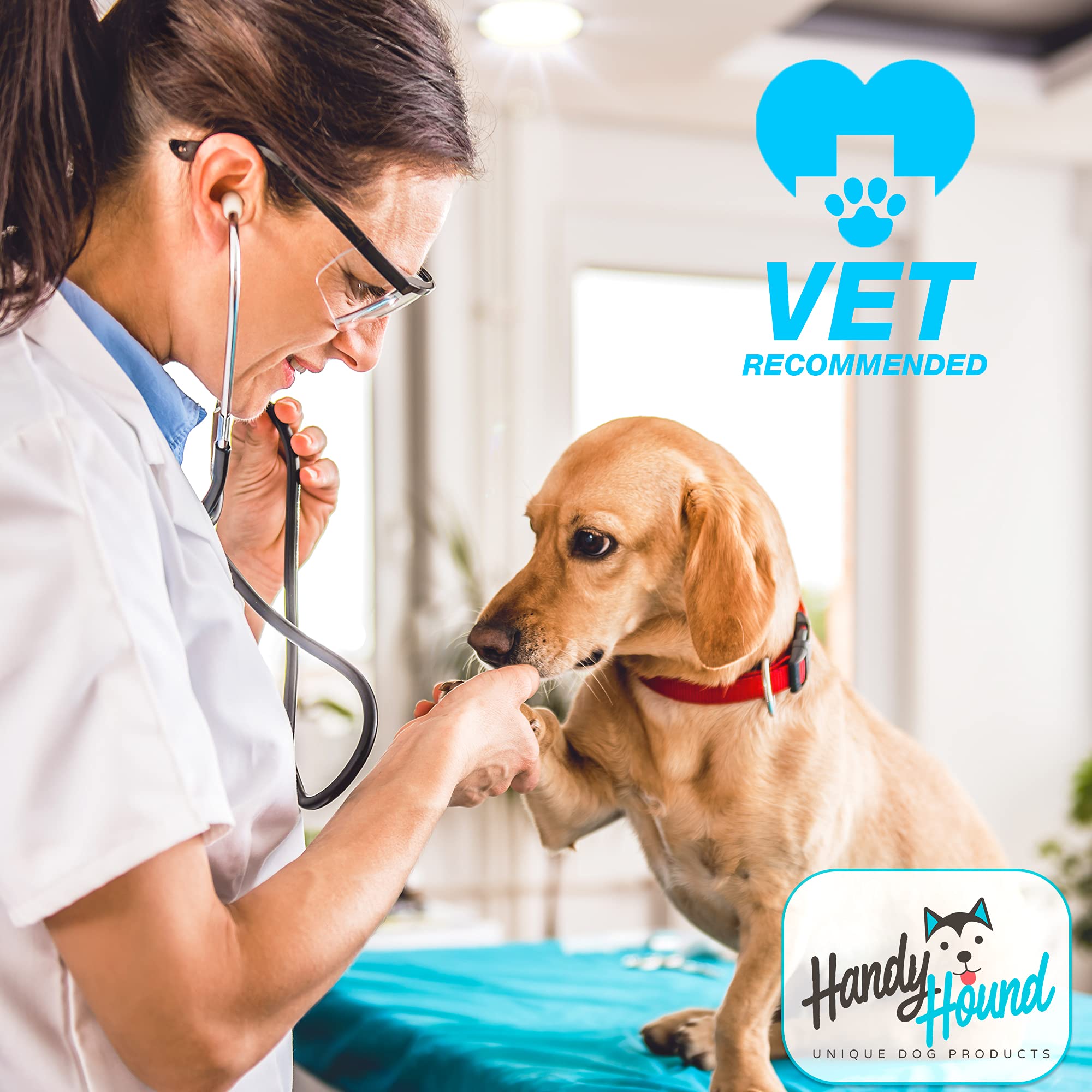 Vet-recommended Handy Hound SnoutScreen with natural vegan ingredients