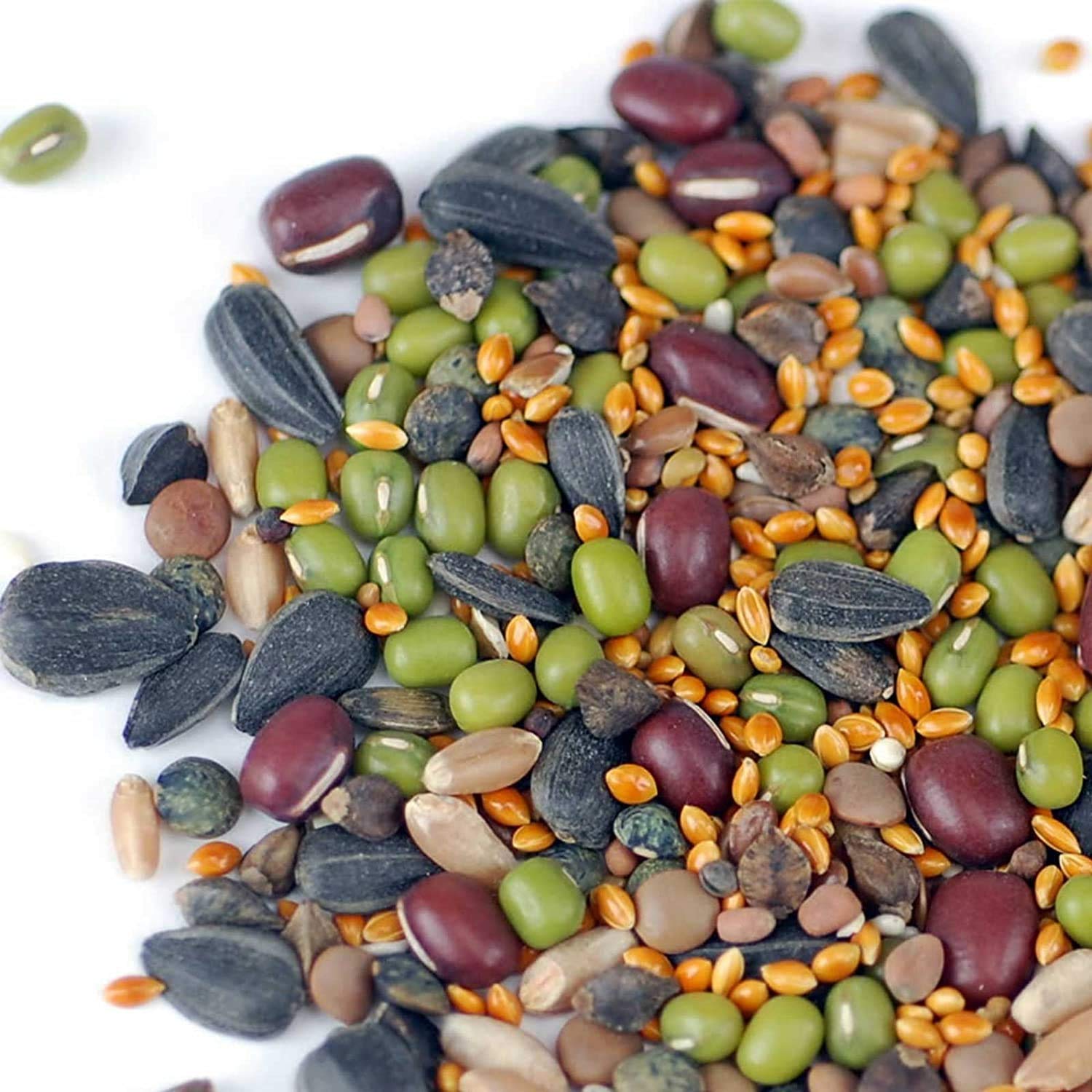 Handy Pantry sprouting birdseed with fresh sprouts, ideal for nutritious foraging.