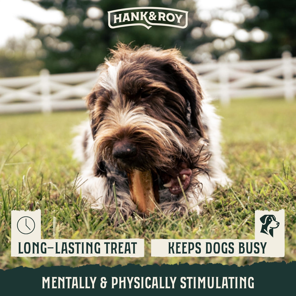 Hank and Roy collagen-rich bone highlights potential joint support and coat shine.