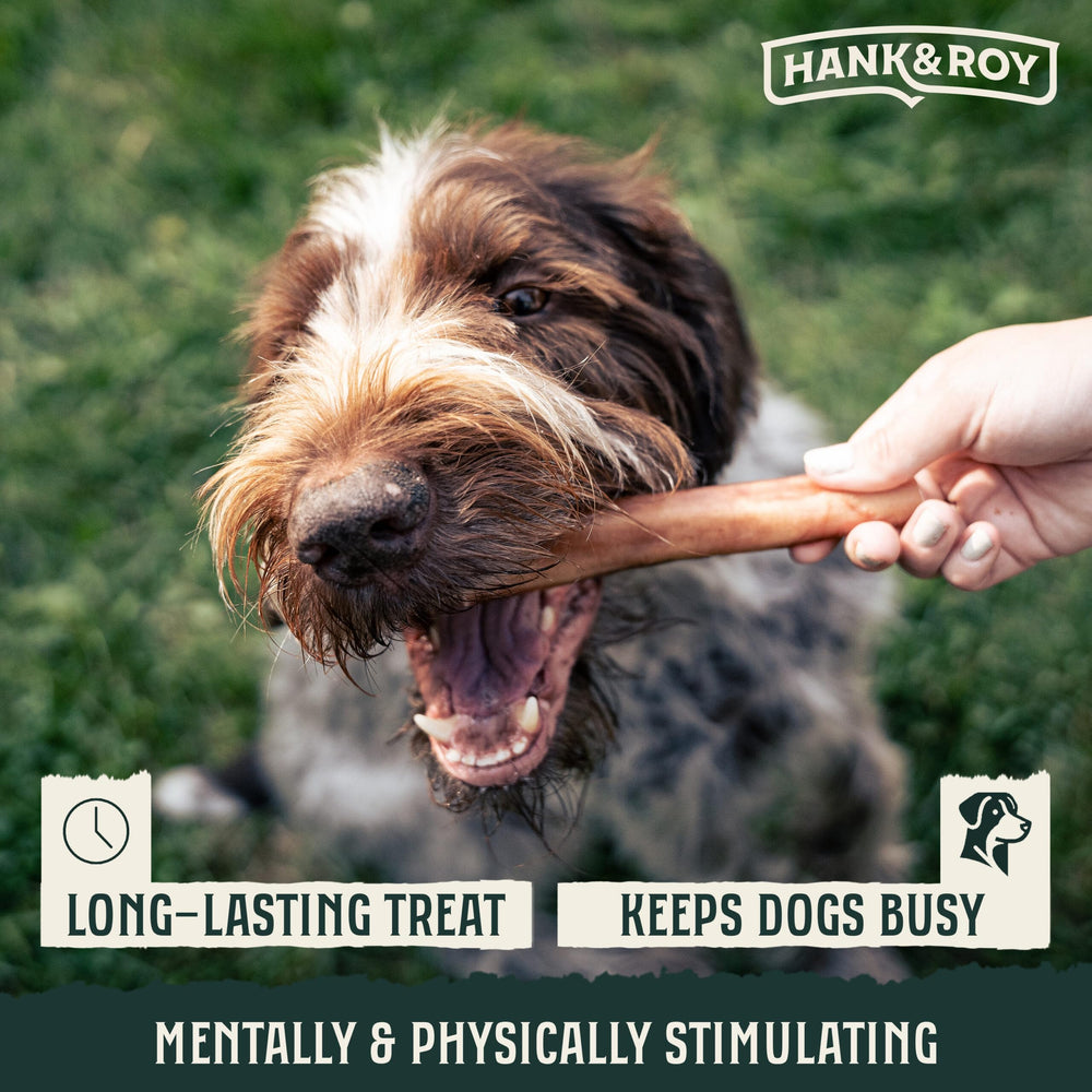 Hank & Roy dental health bully sticks for oral care support