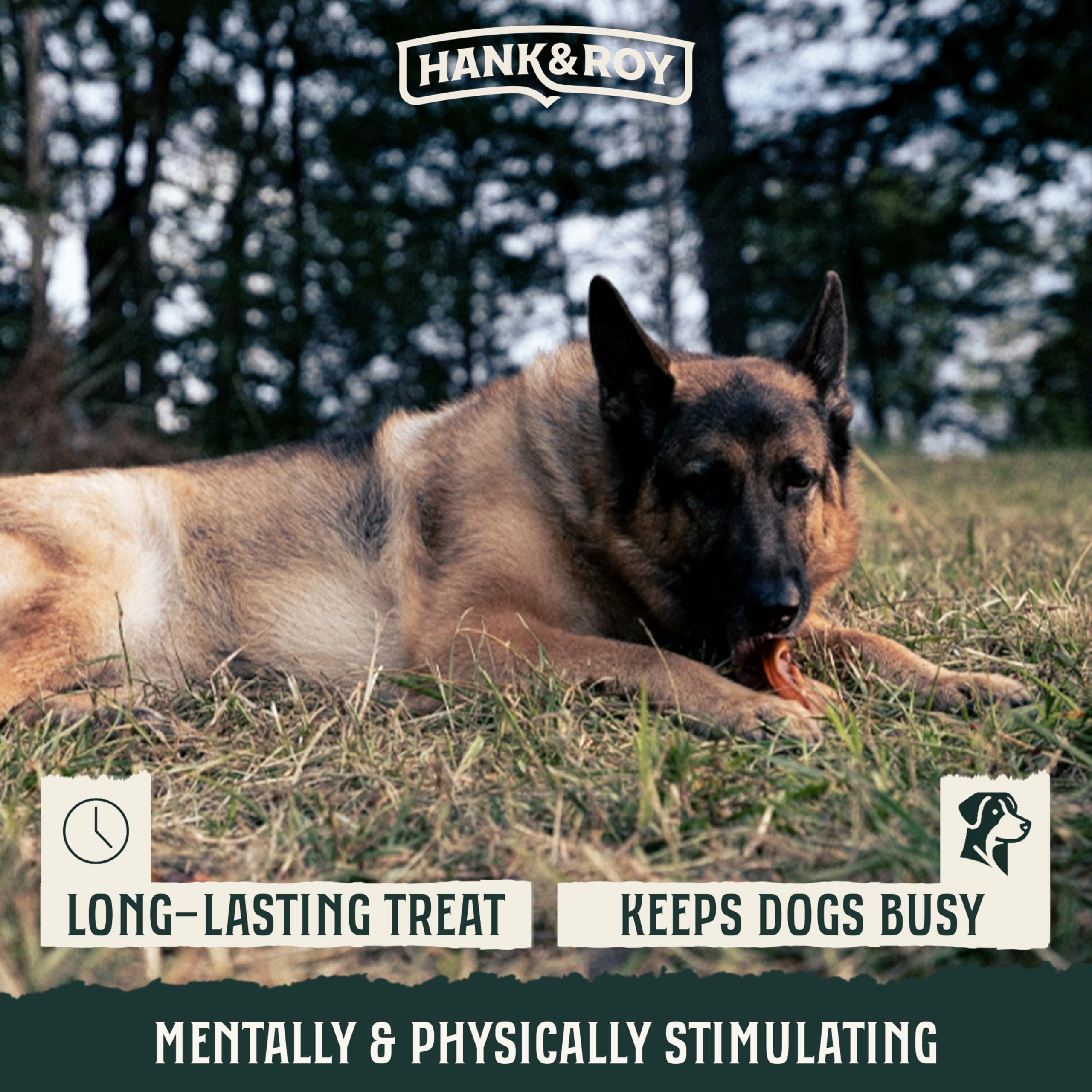 Hank and Roy pig ears in resealable pouch for on-the-go freshness.