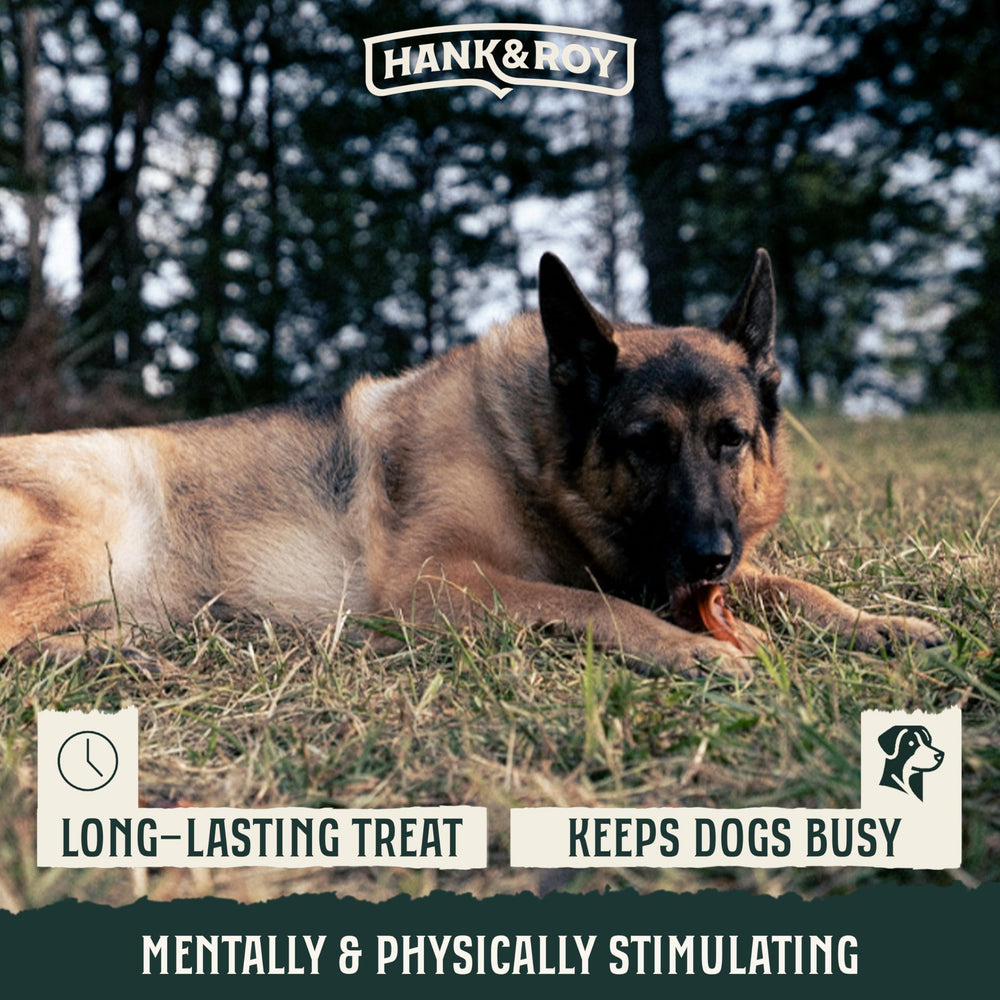 Hank and Roy pig ears in resealable pouch for on-the-go freshness.