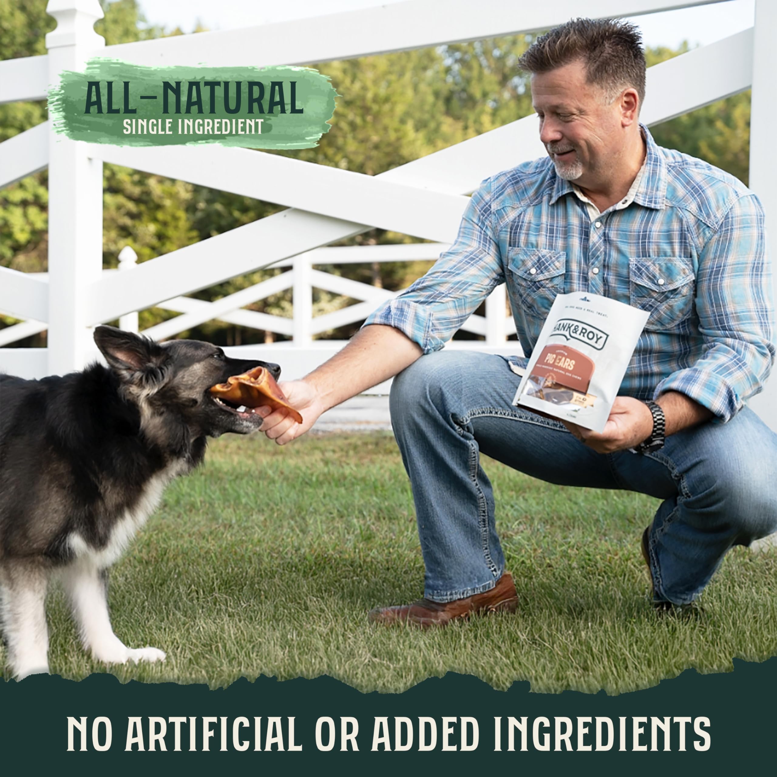 Hank and Roy pig ears, ideal for small dogs, offering digestible chew.
