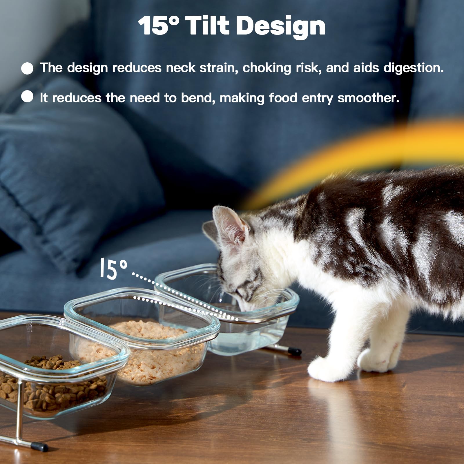 Hannadepot three glass bowls for water, dry and wet food in one set.