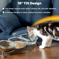 Hannadepot three glass bowls for water, dry and wet food in one set.
