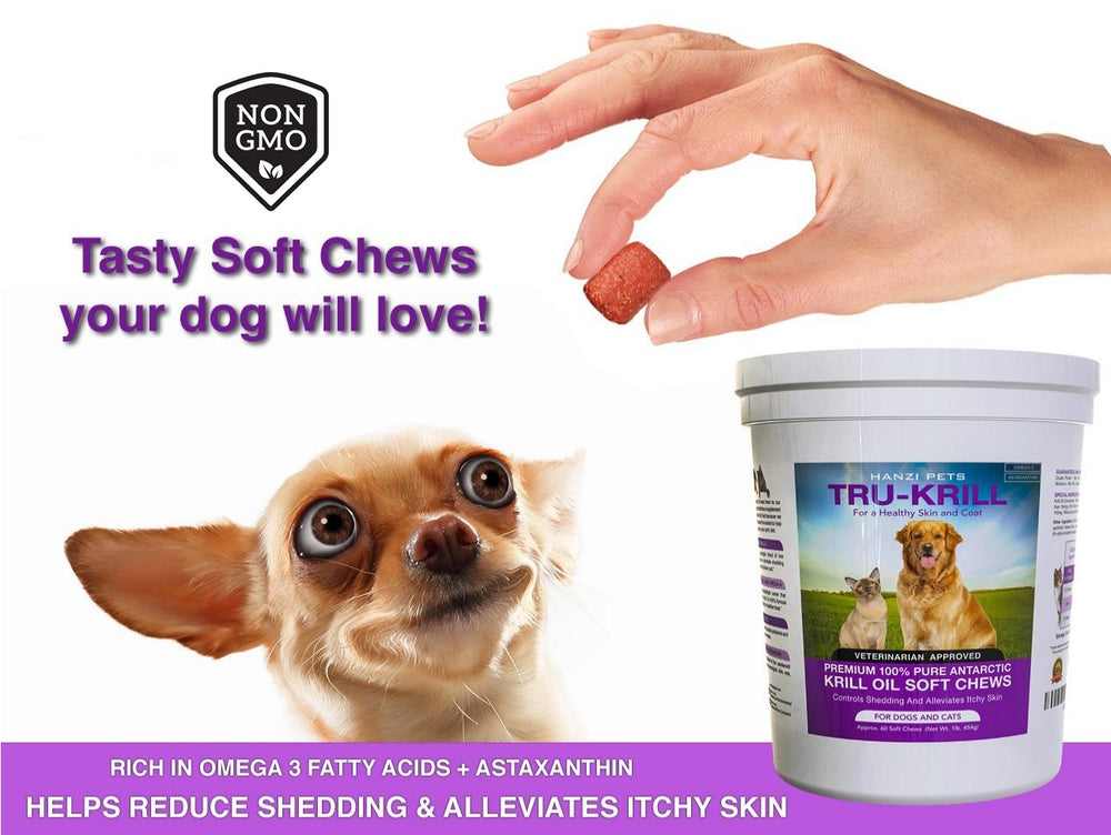 Hanzi Pets dog coat shine after chew highlighting potential coat support.