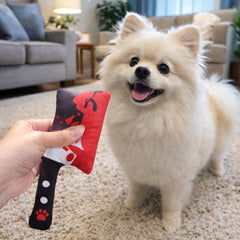 Haourlife interactive dog toy for indoor play and bonding sessions