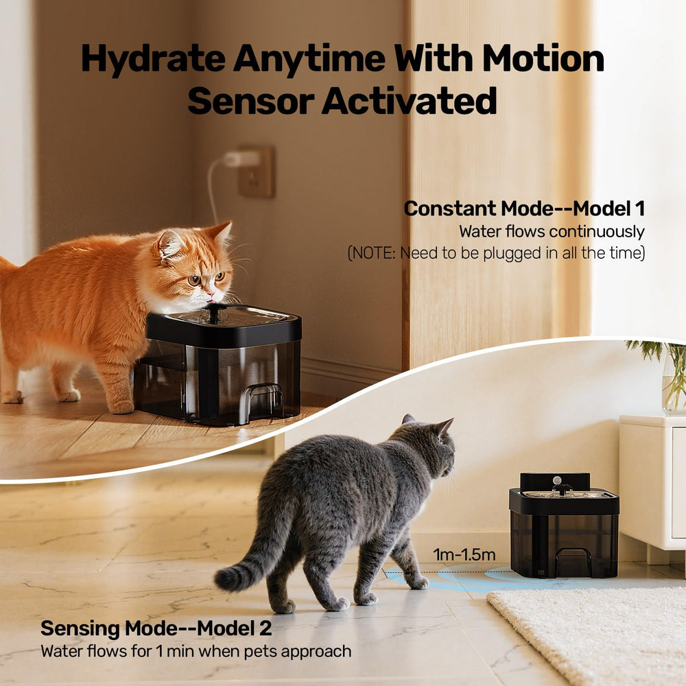 HAPAW plug-in and battery power setup for flexible placement.
