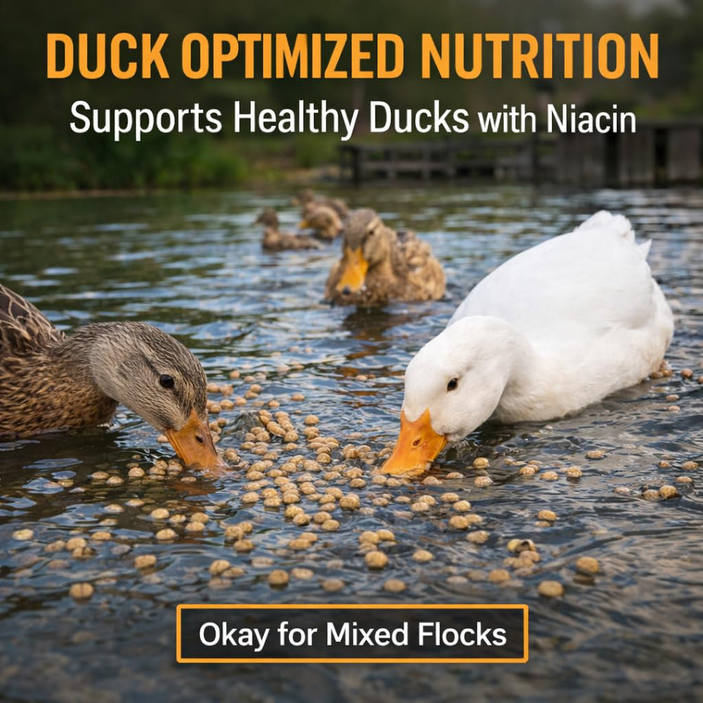 Hapetrails waterfowl feeding at parks invites natural foraging behaviors.