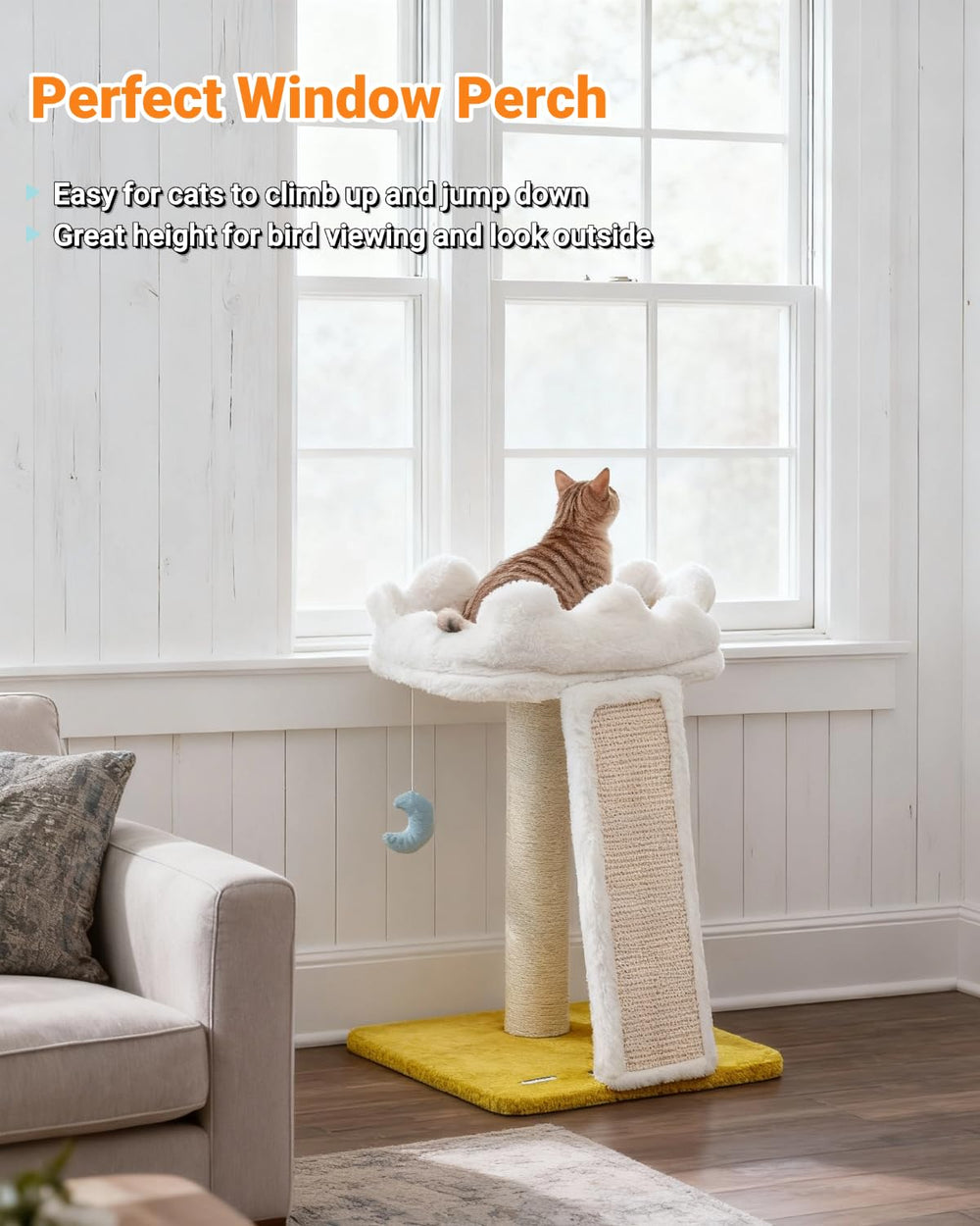 Happi N Pets bonus catnip invites playful exploration and treats.