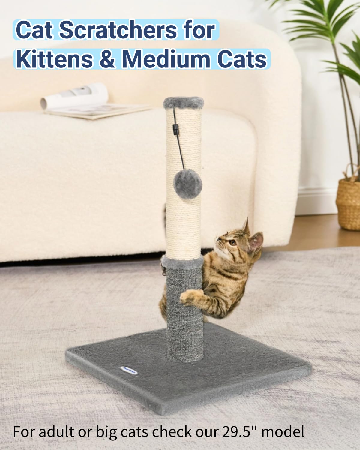 Happi N Pets kitten-friendly size fits small apartments.