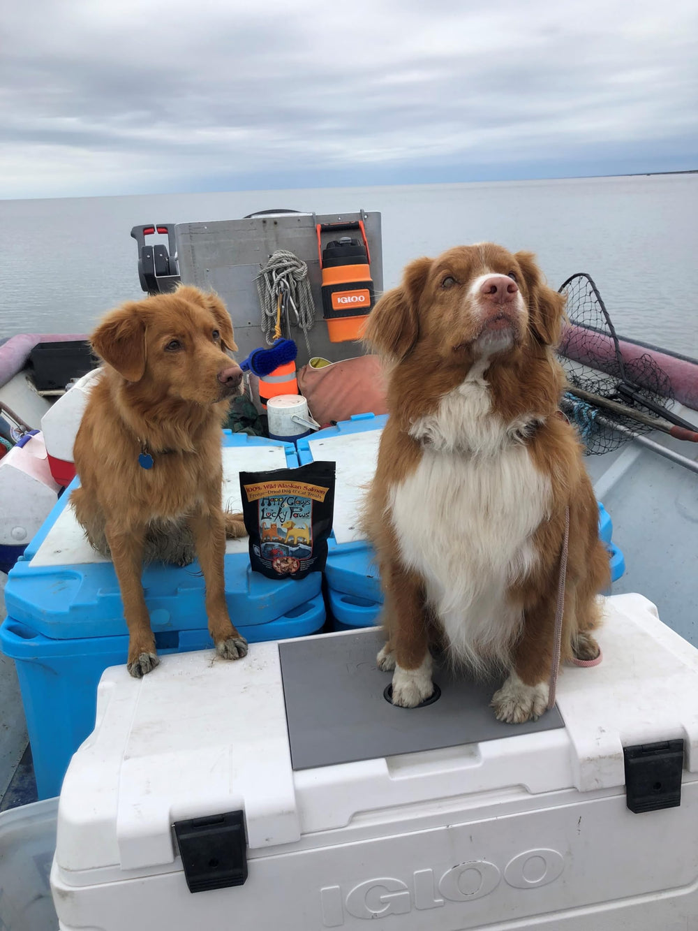 Happy Claws Lucky Paws FDA-permitted facility in Alaska producing treats