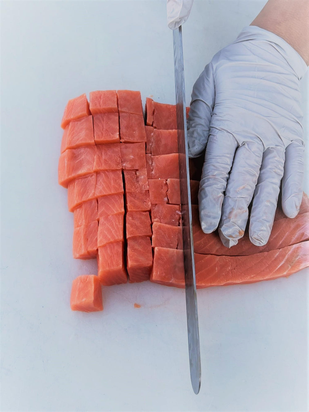 Happy Claws Lucky Paws wild salmon fillet close-up highlighting single-ingredient quality