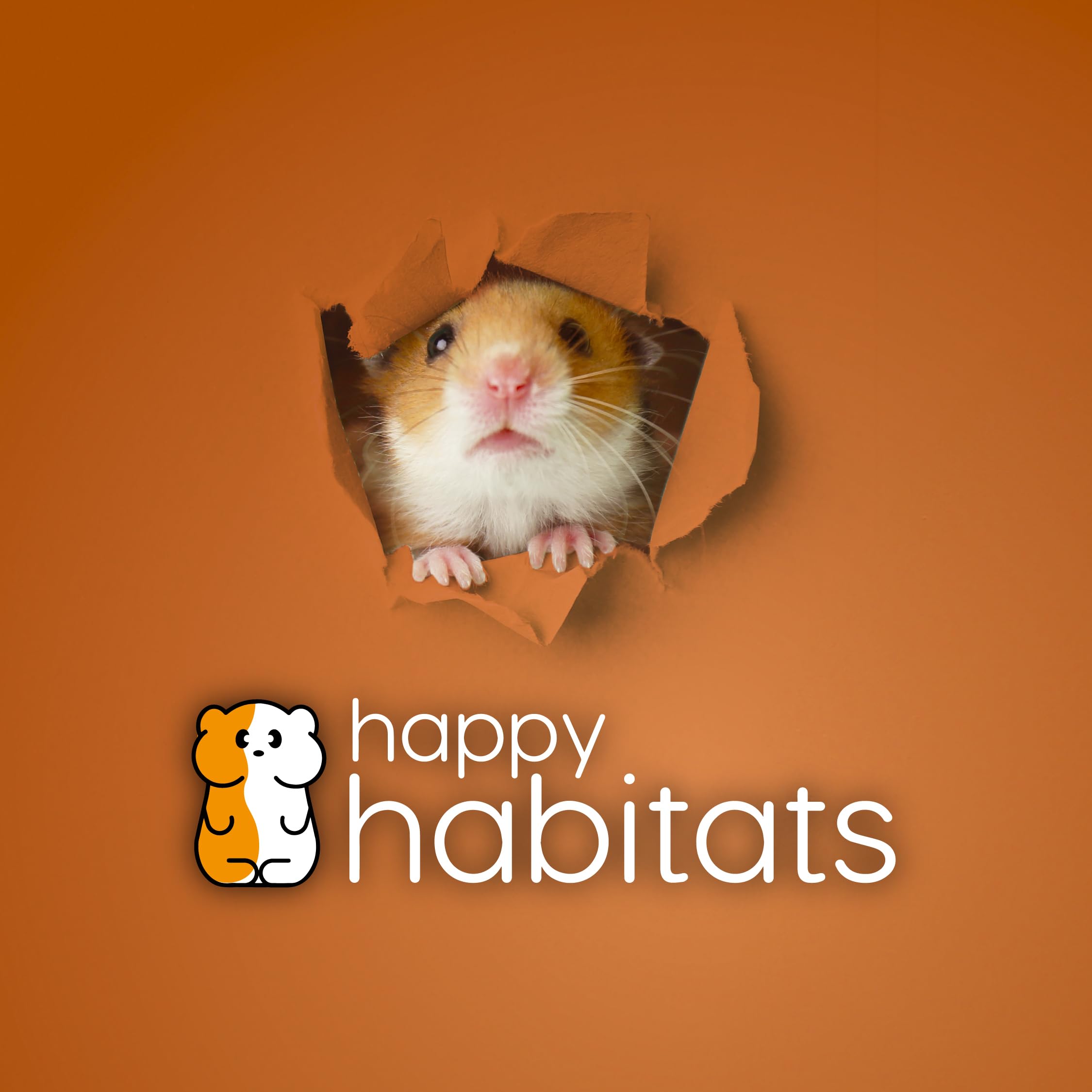 Happy Habitats versatile pet toy ball promotes safe bonding time.