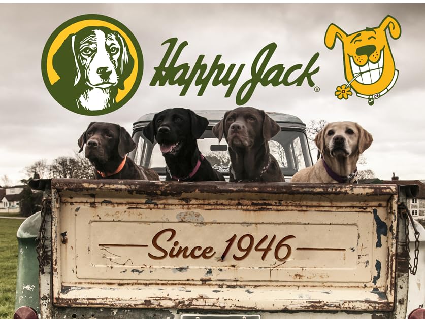 Happy Jack active dog protection scene ready for adventures