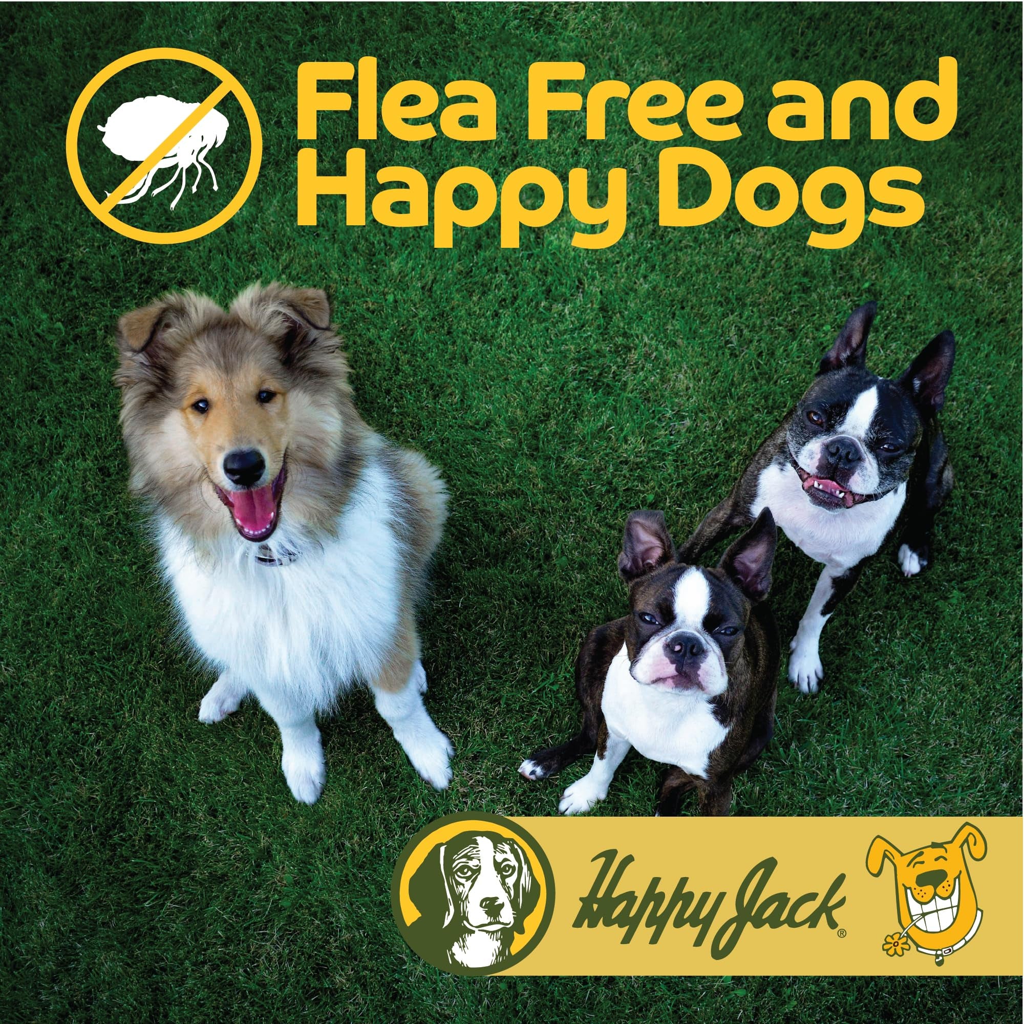Happy Jack powder dusted onto pet bedding for odorless pest control.