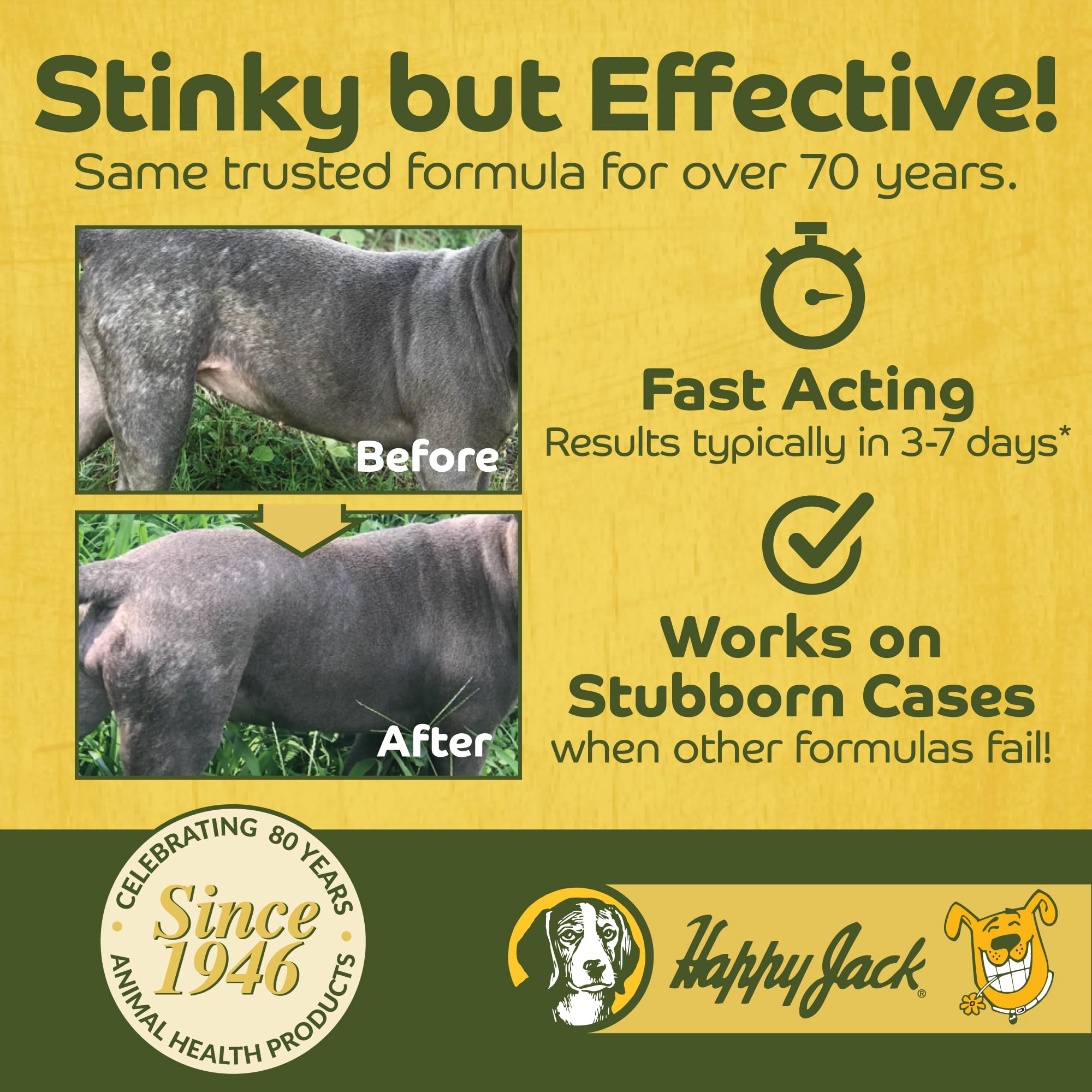 Happy Jack mange spot application area highlights targeted treatment on affected skin.