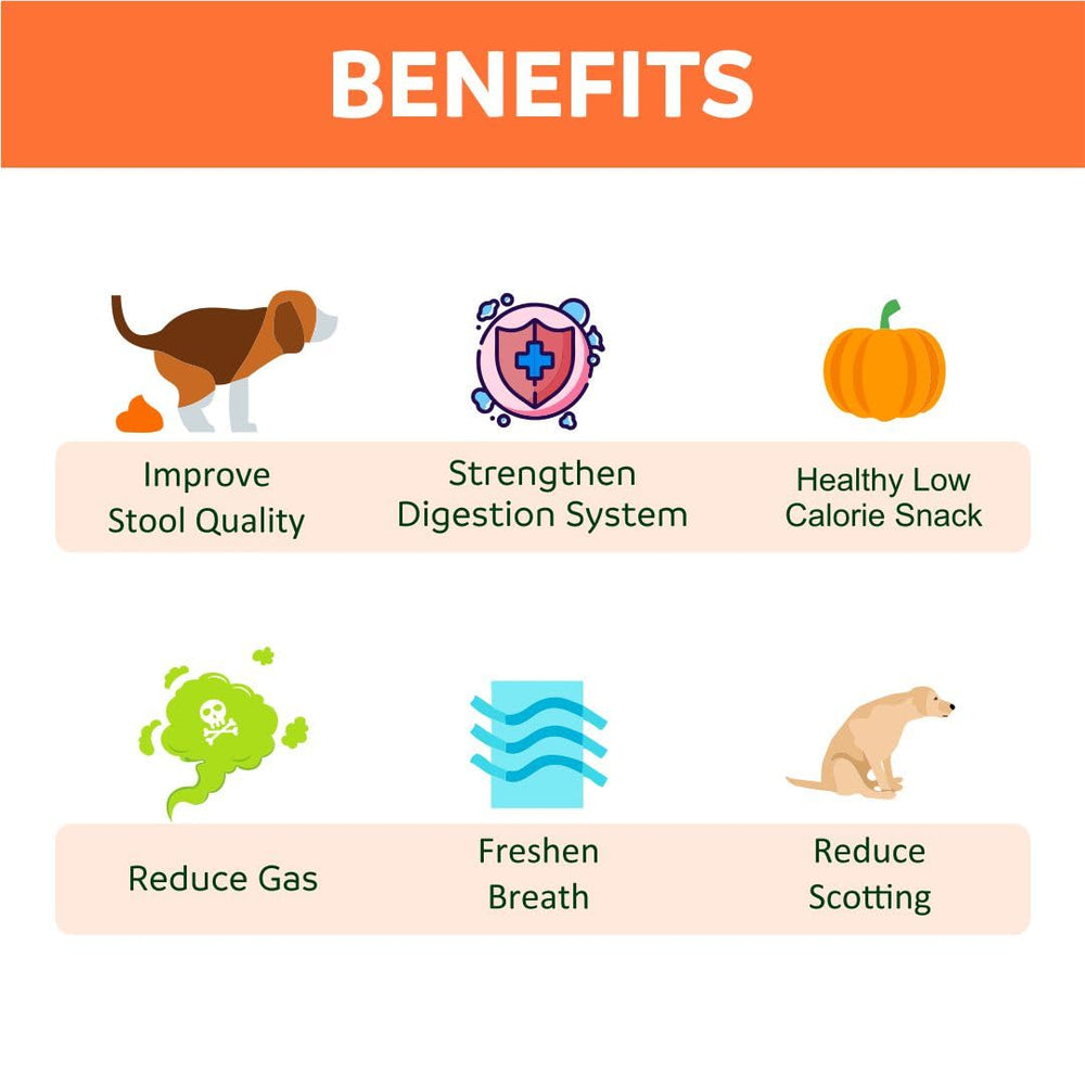 Happy Olly pumpkin bits—freeze-dried pieces for gut health and fiber.