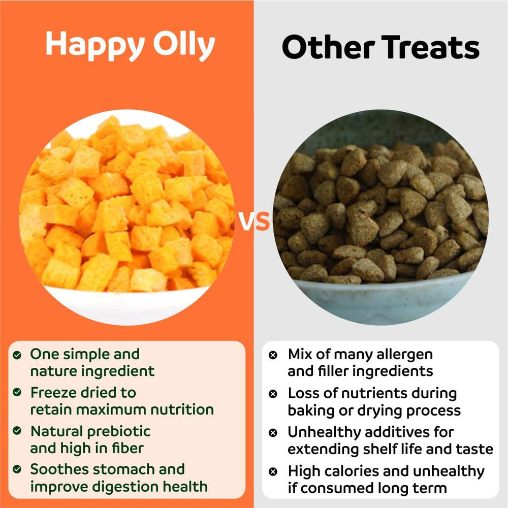 Happy Olly pumpkin bits in scoop—great for gentle digestion.