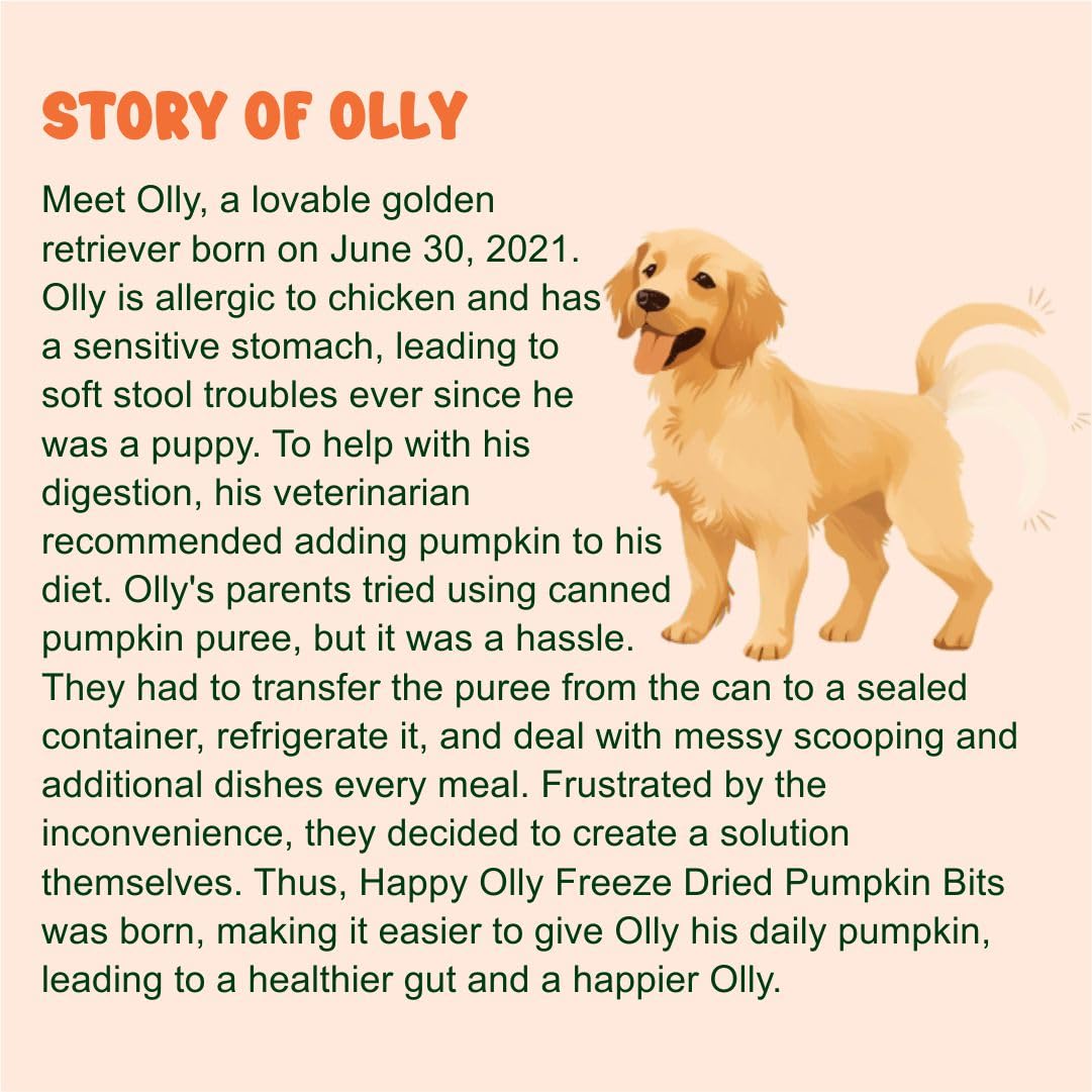 Happy Olly pumpkin bits on mat—grains-free and vegan.