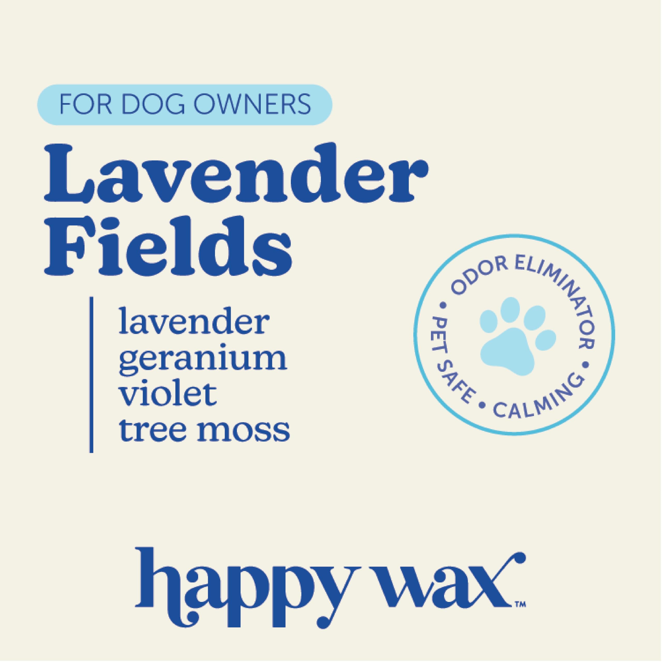 Happy Wax bear closeup shows dye-free, non-toxic wax melts
