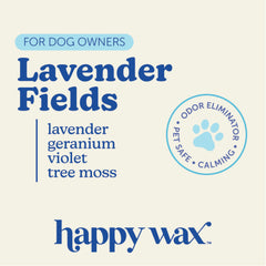 Happy Wax bear closeup shows dye-free, non-toxic wax melts