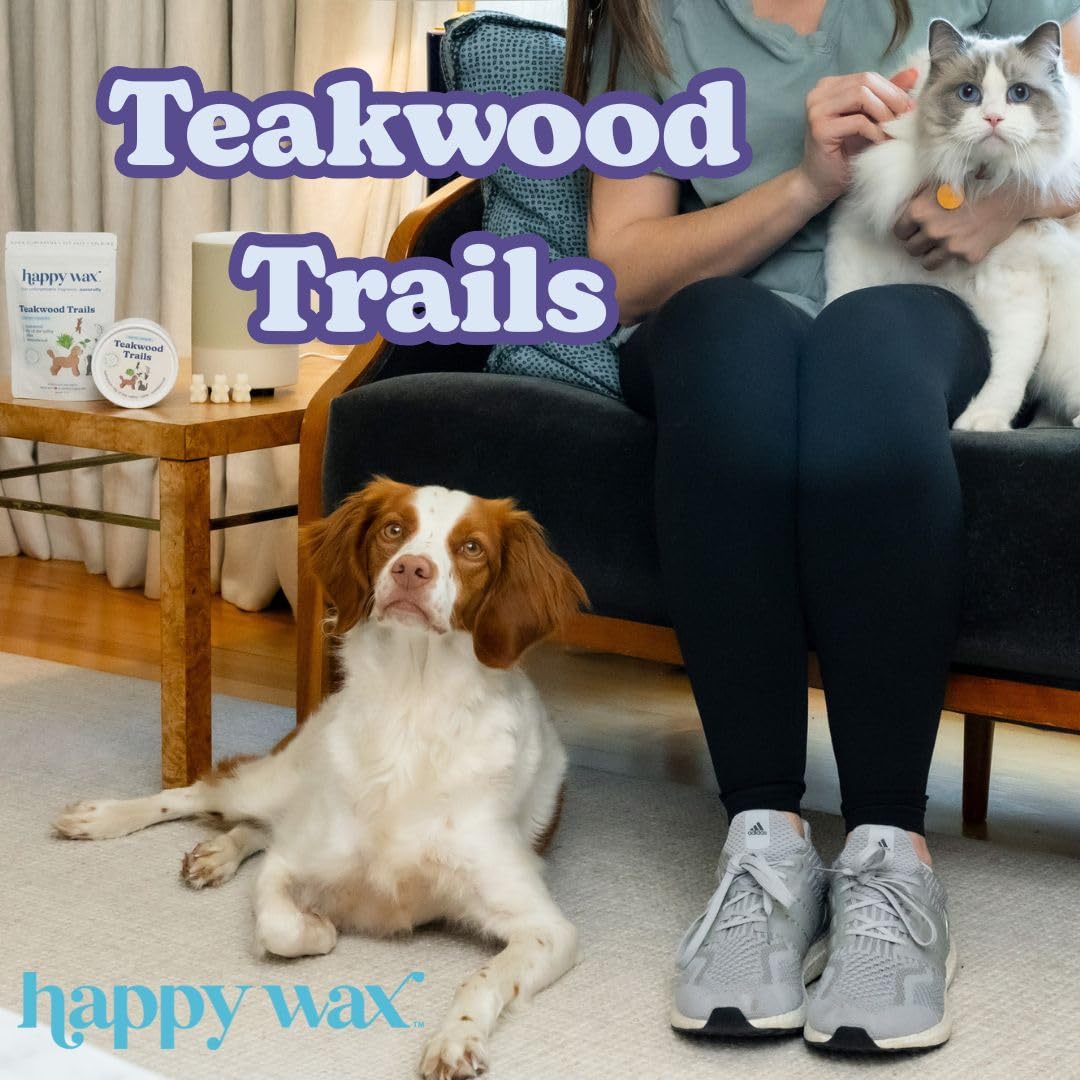 Happy Wax Soy Wax melts are dye-free and non-toxic for safer home fragrance.
