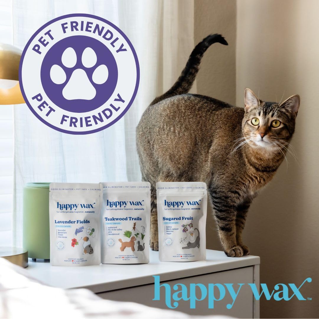 Happy Wax Teakwood Trails melts suit multiroom use with balanced fragrance.