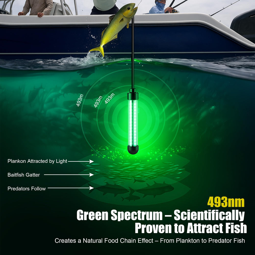 HappyAlley 493nm green attracts plankton and baitfish near your boat
