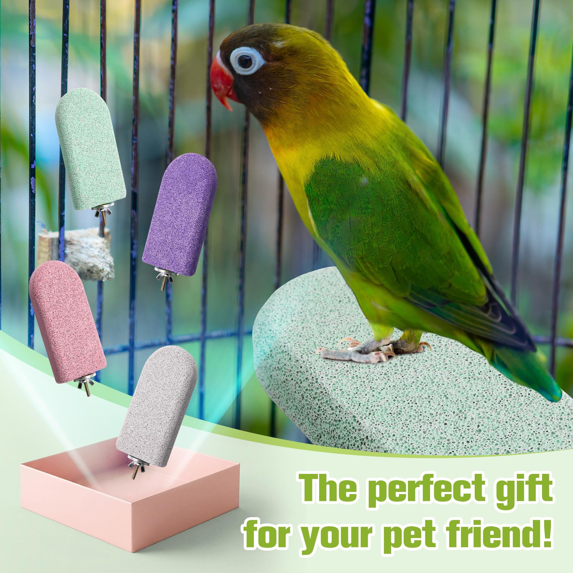 HappyAlley bird perch closeup highlights pumice texture for grooming.