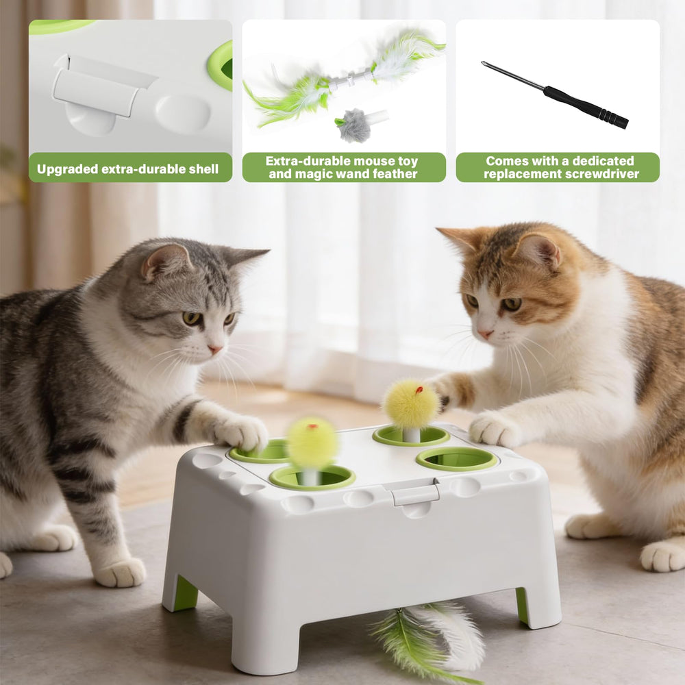 HAPPYCODE Magic House indoor enrichment enhances exercise and curiosity