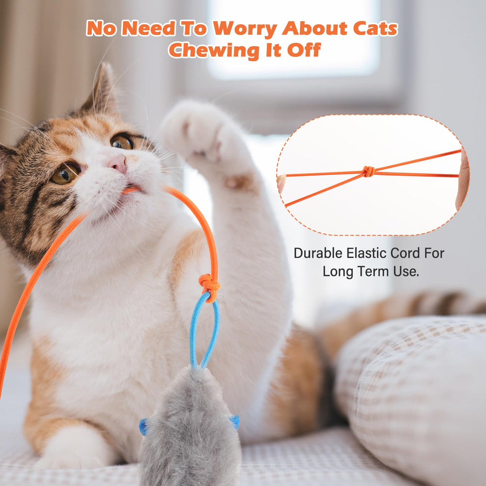 HAPPYCODE orange teaser on furniture invites quick cat engagement.