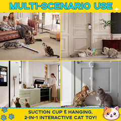 Rechargeable HappyCode cat toy with automatic play sessions for convenience.