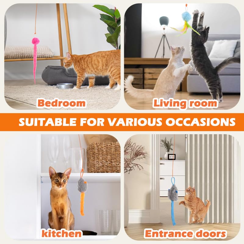 HAPPYCODE soft attachments keep cats safe during lively sessions.