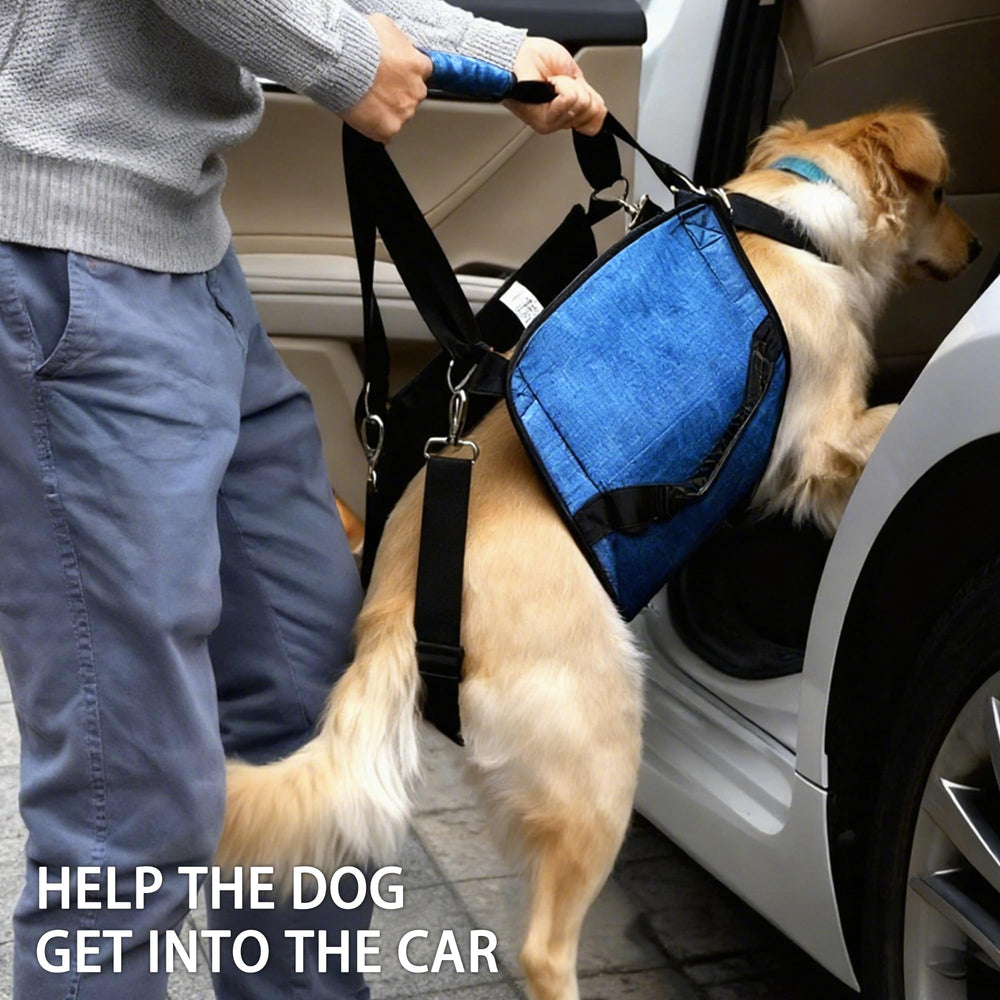 Owner using HAPPYHAO sling to assist dog during a walk