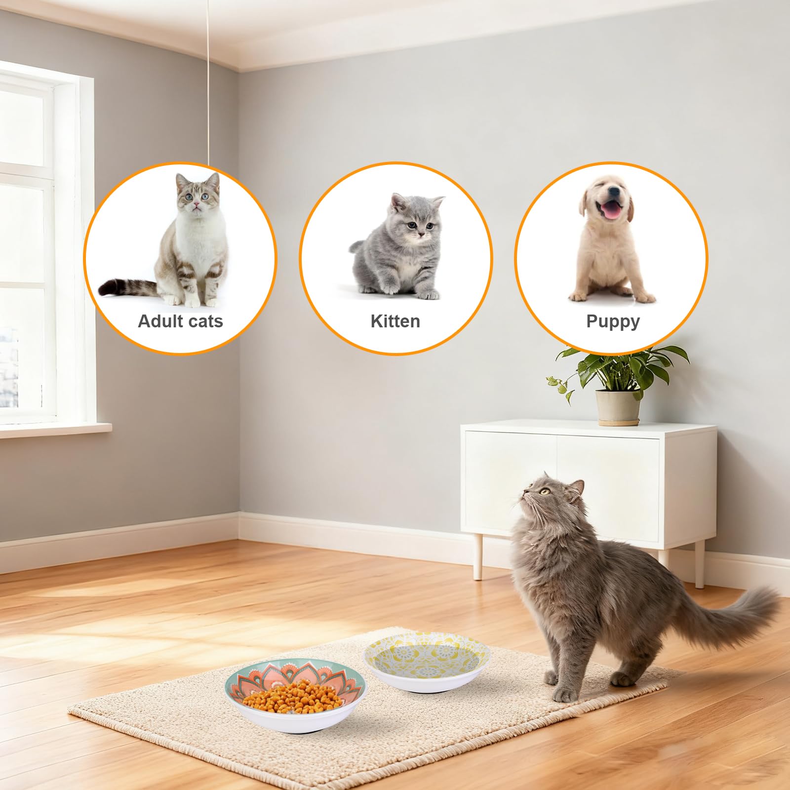 HAPPY KIT stackable cat bowls save space in small homes