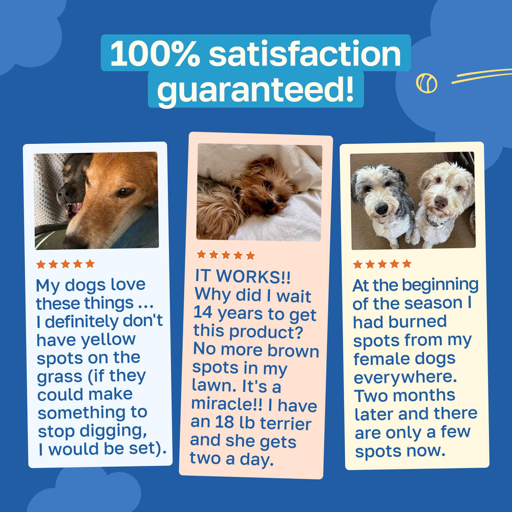 Happy Paws Lawn Saver ingredients list includes DL-Methionine for urine balance.