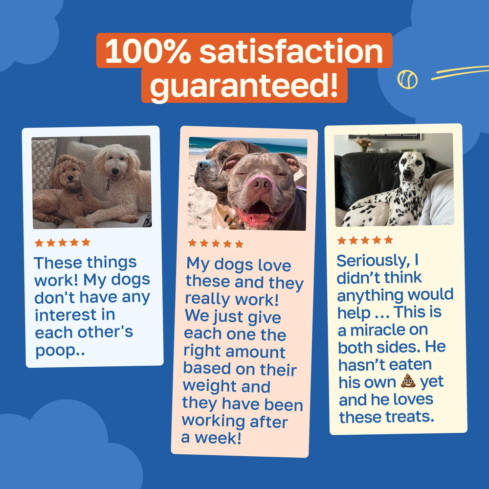 Happy Paws No Poo Chews jar with seal indicating organic and non-GMO ingredients.