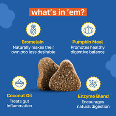 Happy Paws No Poo Chews ingredient labels highlighting pumpkin and probiotics for gut health.