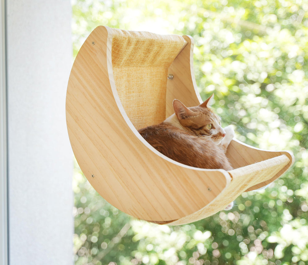 HAPYKITYS easy-clean design simplifies maintenance.