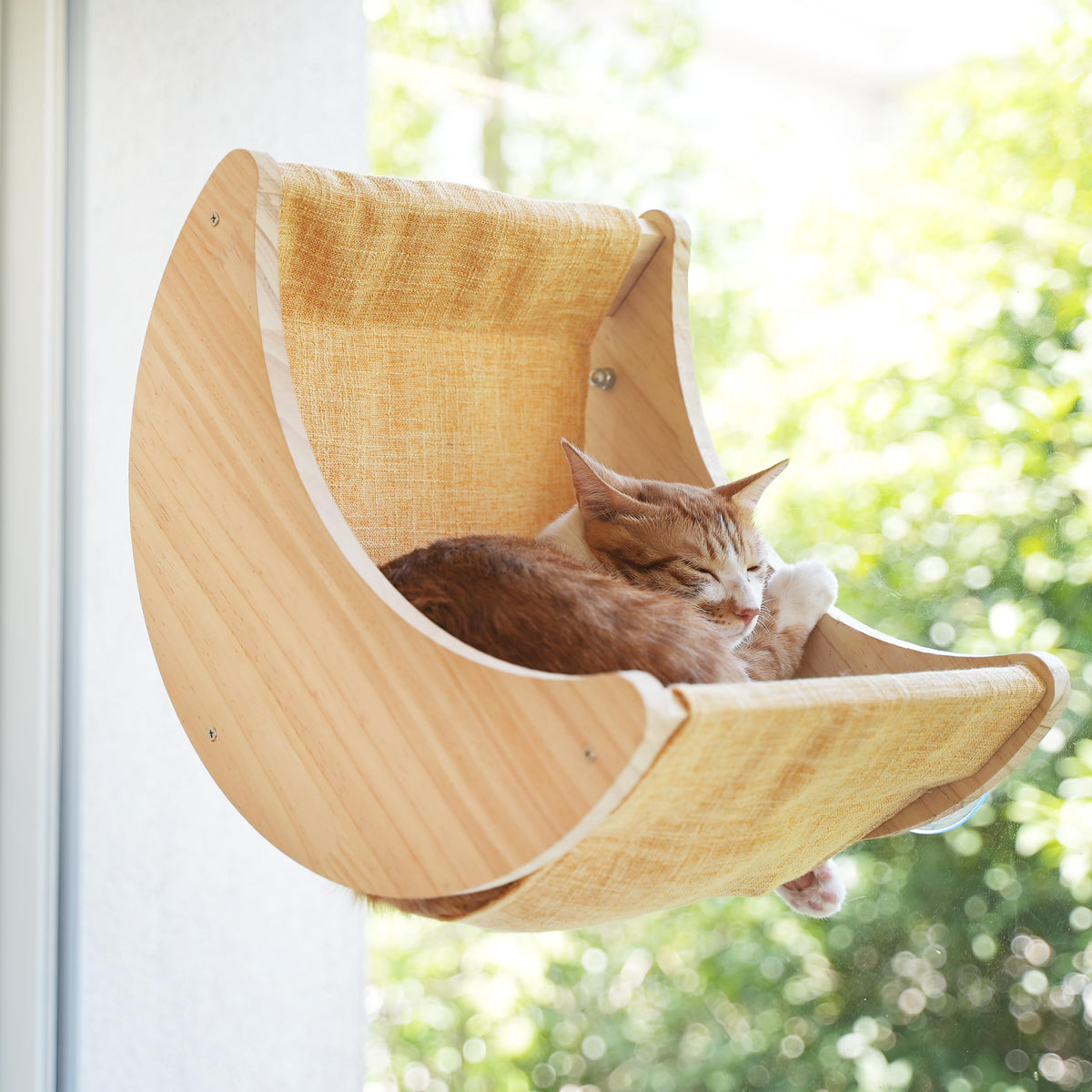 HAPYKITYS Moon Perch assembly secures a window view for your cat.