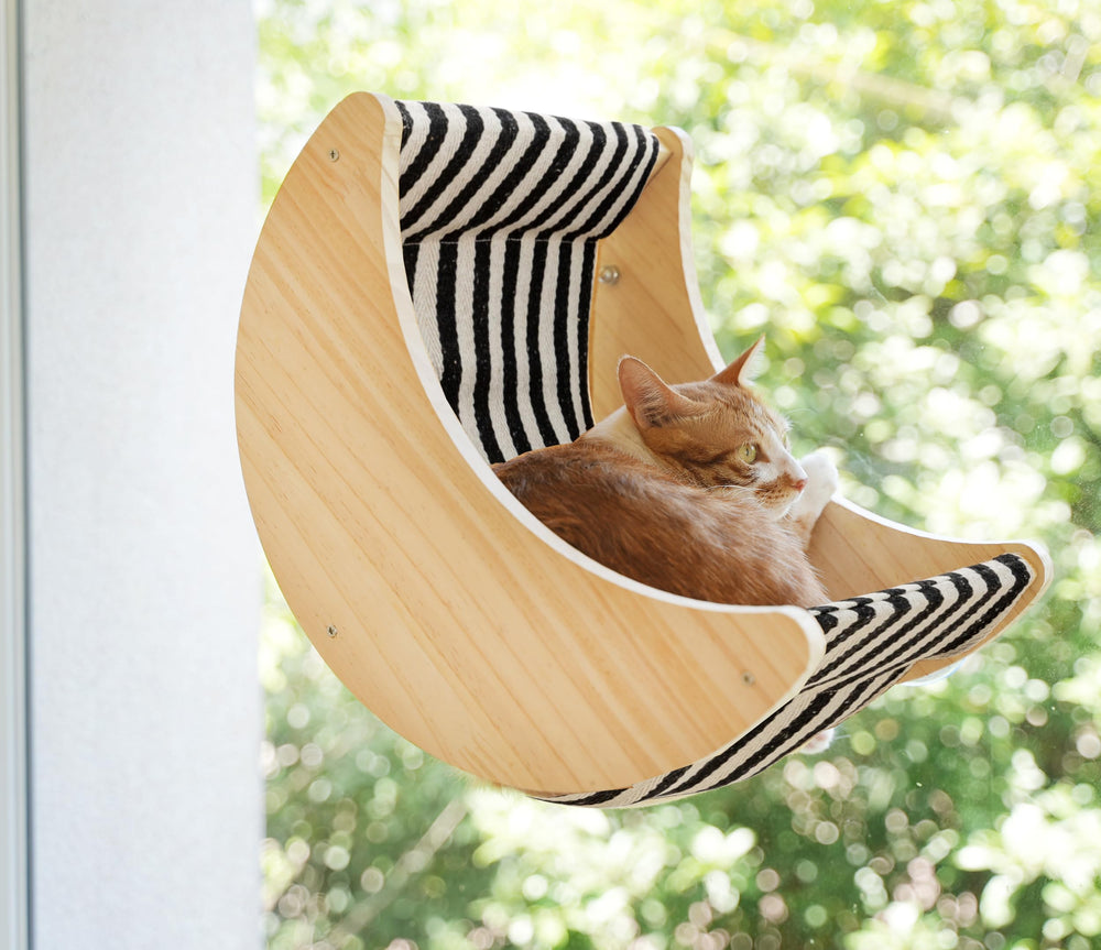 HAPYKITYS crescent bed creates a sunlit spot for birds-view watching.