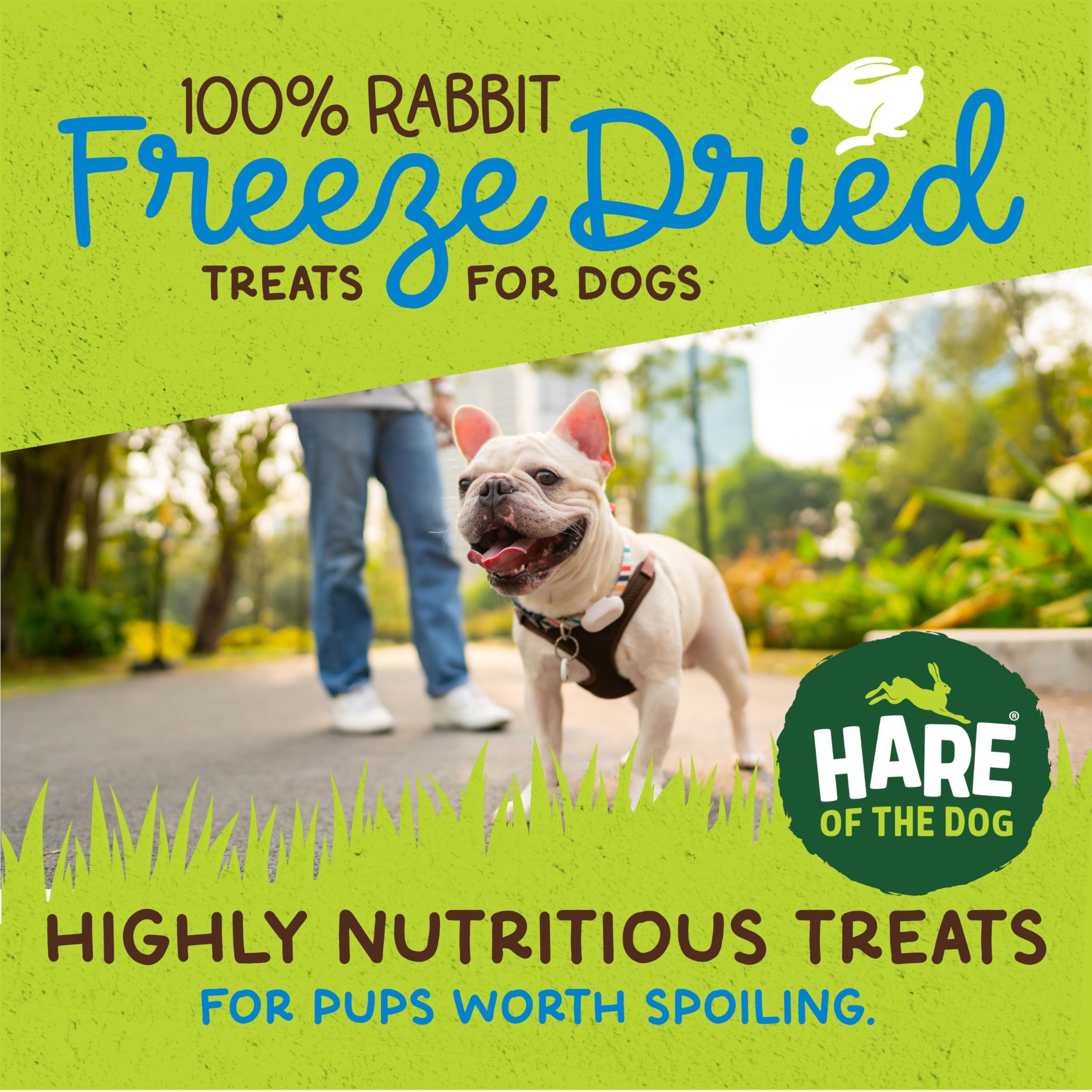 Hare of the Dog freeze-dried rabbit bites on a surface, perfect for training rewards.