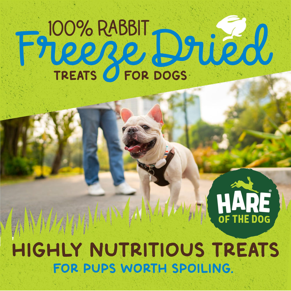 Hare of the Dog freeze-dried rabbit bites on a surface, perfect for training rewards.