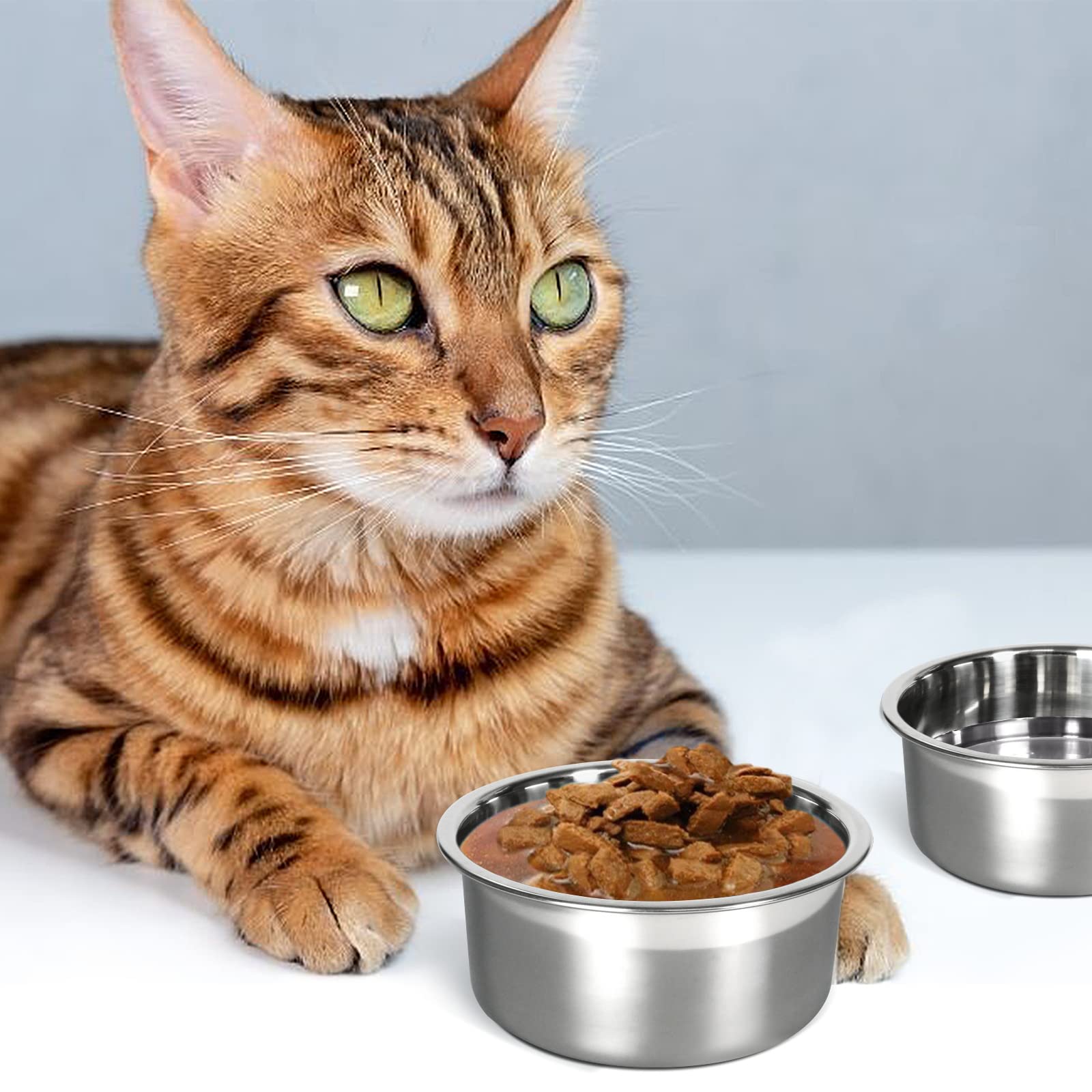 Each bowl holds 2 cups (16 oz) for pet meals and water