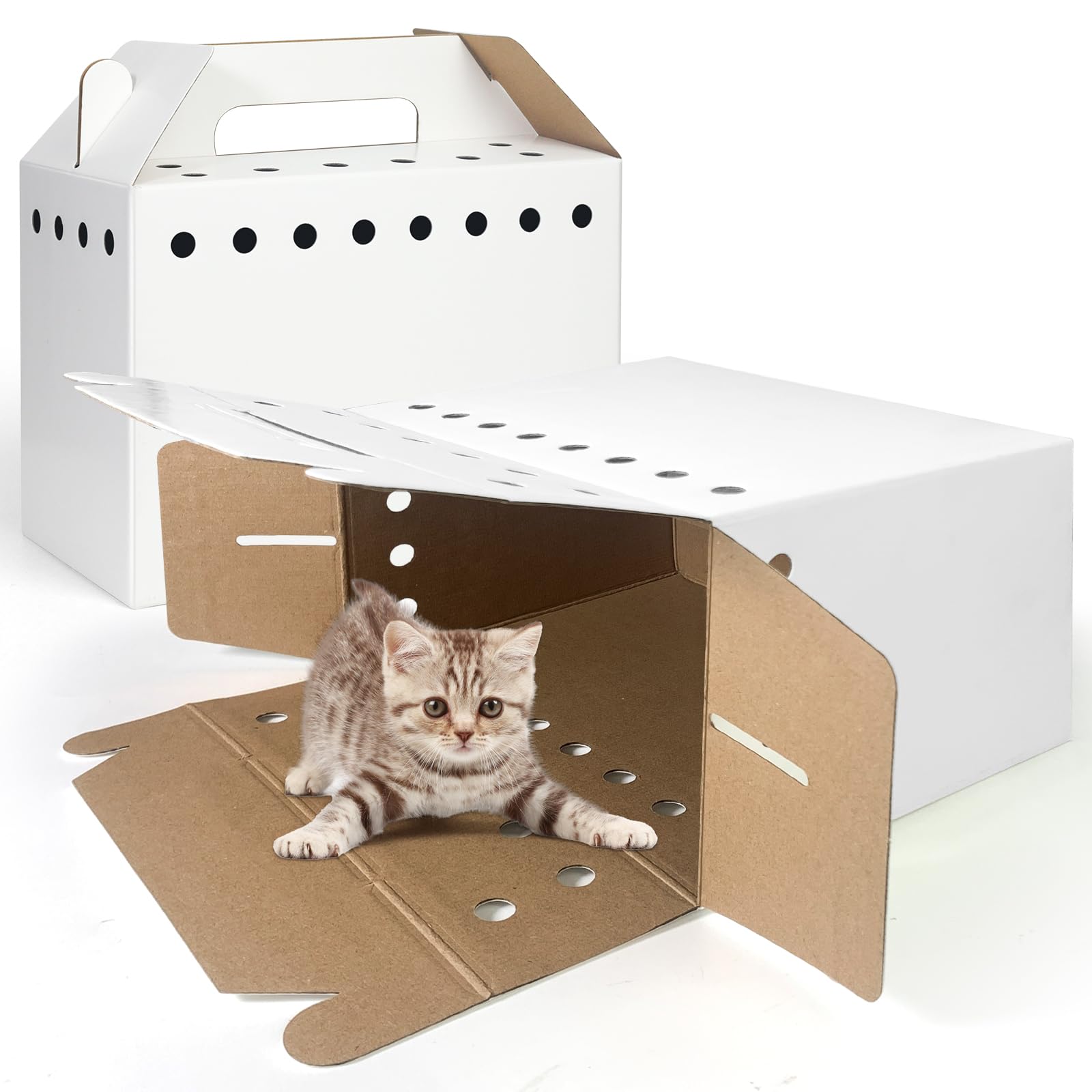 Harhana 12-pack shows assembly in seconds without tools