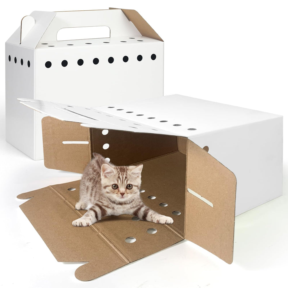 Harhana 12-pack shows assembly in seconds without tools