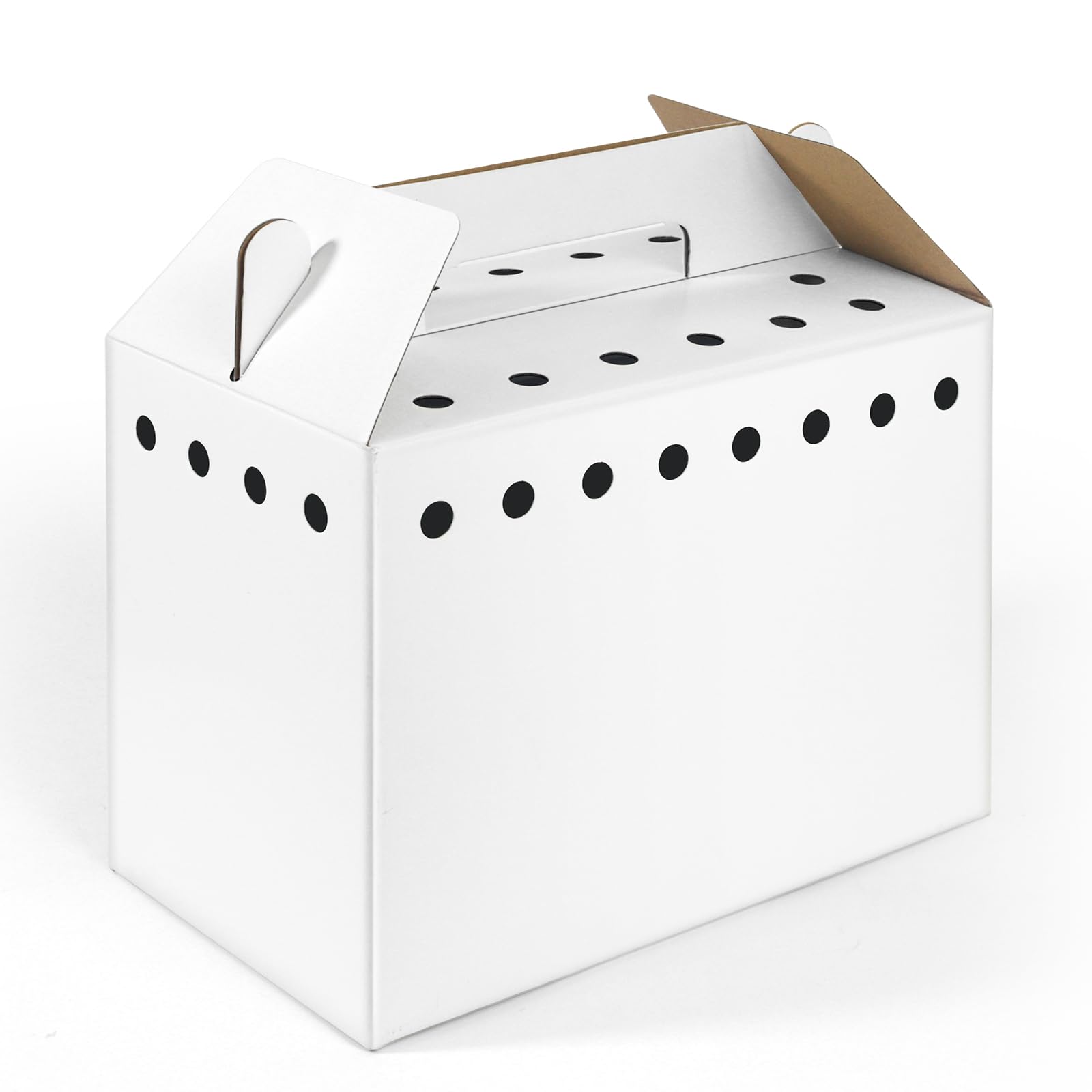 Harhana compact 11x8x6 inch box suits hamsters and other small pets