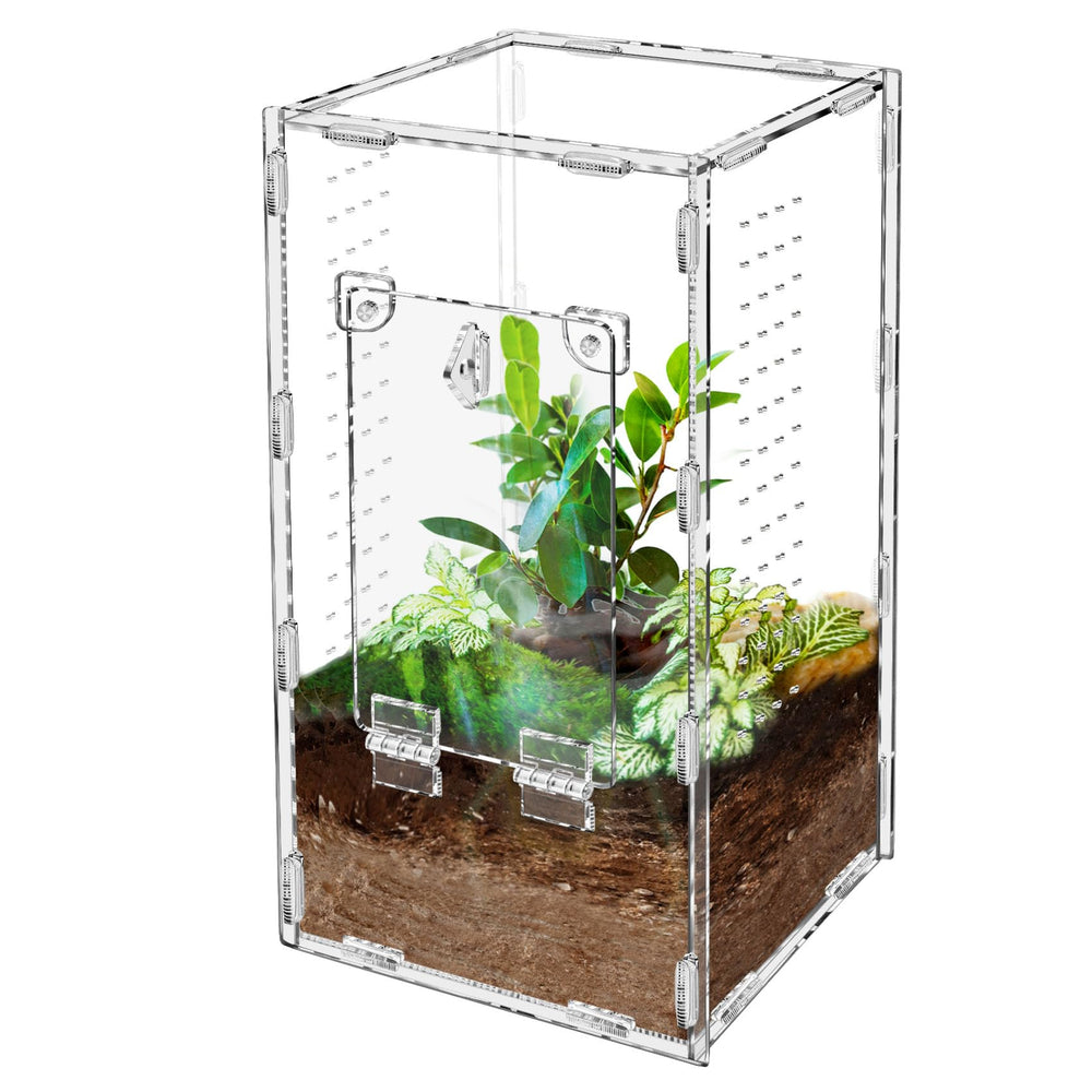 Harhana Jumping Spider Enclosure front view showing clear visibility for observation.