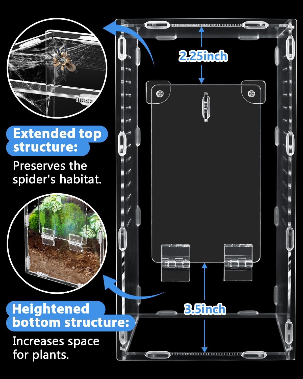 Harhana Jumping Spider Enclosure magnet door enables easy, secure lid access.